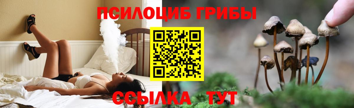 Галлюциногенные грибы Psilocybine cubensis  Вход с VPN  Белая Калитва  Галлюциногенные грибы Psilocybe 